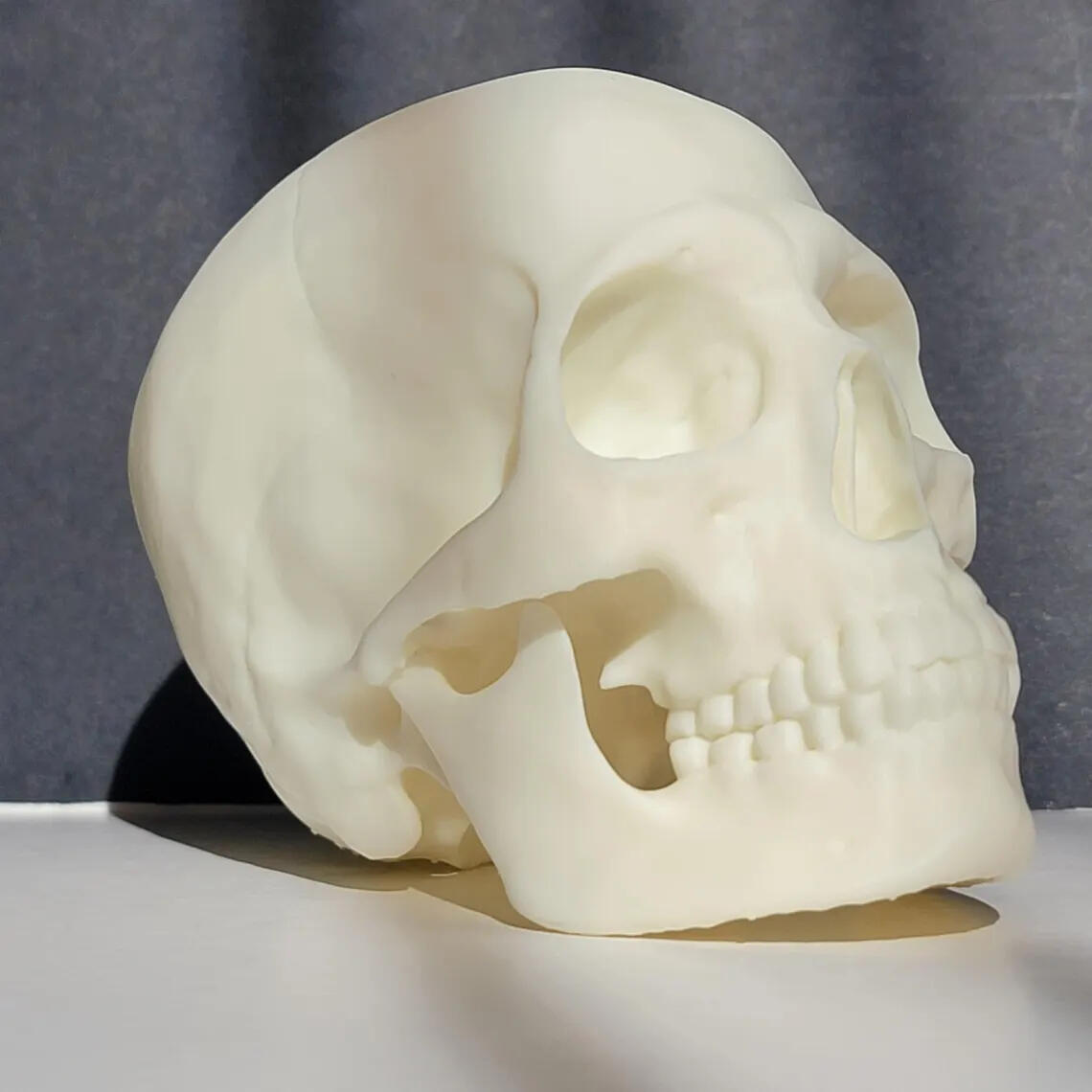 3 Pack of Skulls